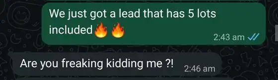 Client reaction to a lead with five lots included: Are you freaking kidding me